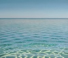 Reflexe XII