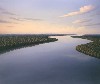 Urwaldfluss